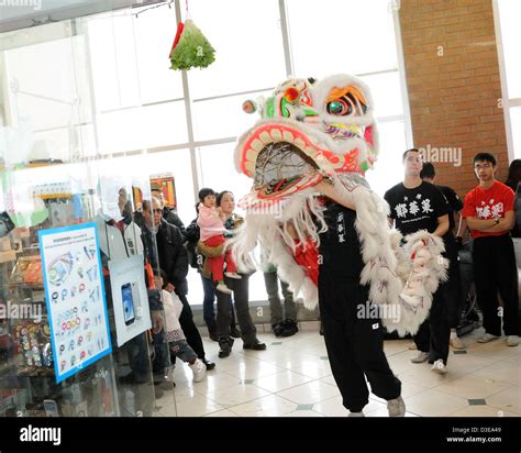 Cai Qing Lion Dance: A Guide to Performance