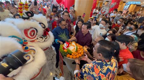 Cai Qing Lion Dance: A Journey Through Tradition and Spectacle