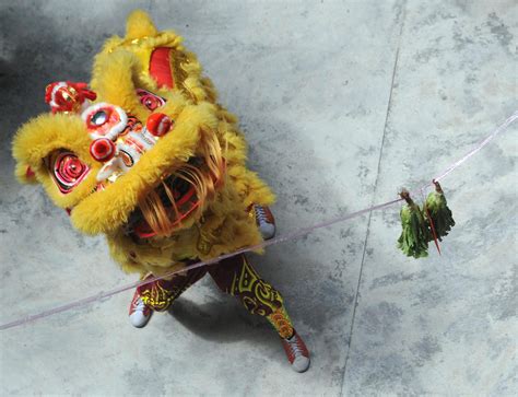 Cai Qing Lion Dance: An Ancient Practice