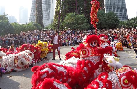 Cai Qing Lion Dance: An Ancient Tradition Steeped in Myth and Folklore