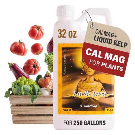 Cal Mag Fertilizer: The Ultimate Guide for Healthy Plants