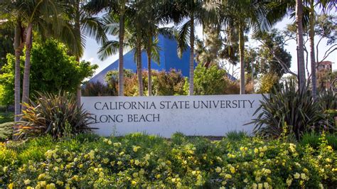Cal State Long Beach Transfer Acceptance Rate: All You Need to Know