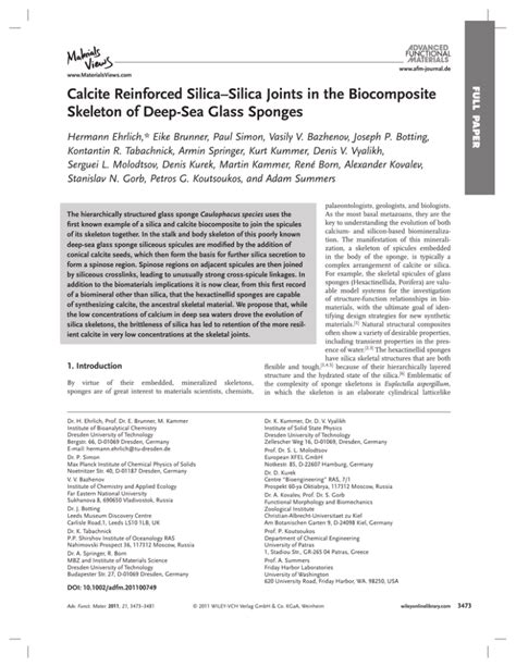 Calcite Biocomposites: