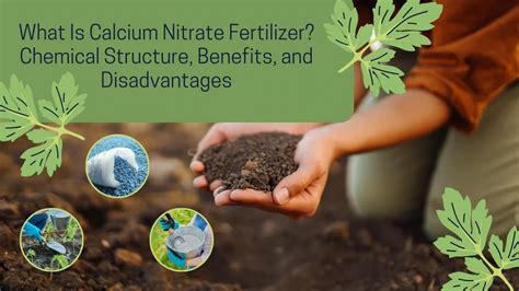 Calcium Fertilizer: The 5 Unbelievable Benefits of Enhancing Your Soil's Calcium Levels