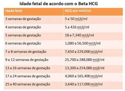 Calculadora Beta HCG: Descobrindo a Idade Gestacional do Seu Bebê