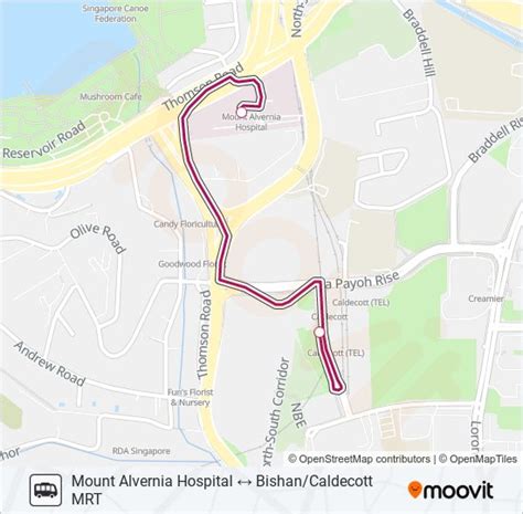 Caldecott MRT to Mount Alvernia Hospital: A Comprehensive Travel Guide for 2023