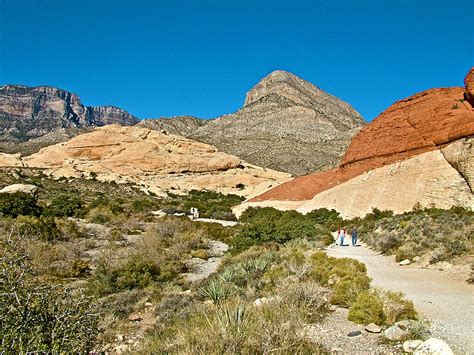 Calico Canyon Reader