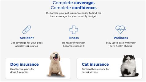 Call Nationwide Pet Insurance: Your One-Stop Solution for Pet Health Protection