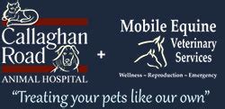 Callaghan Road Animal Hospital: Your Source for Comprehensive Pet Care