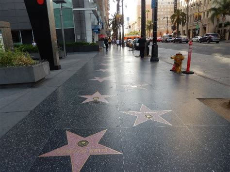 Calle de las Estrellas: The Ultimate Guide to Hollywood's Walk of Fame