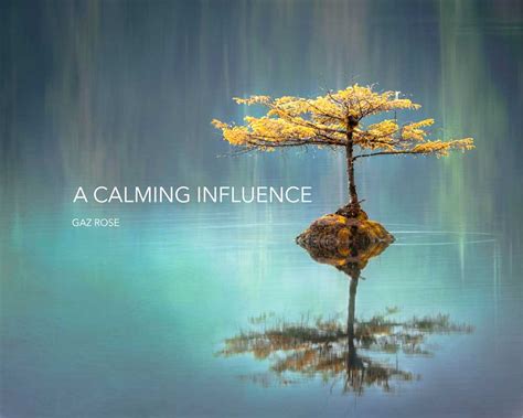 Calming Influence: