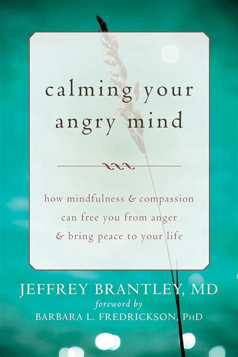 Calming Your Angry Mind How Mindfulness and Compassion Can Free You from Anger and Bring Peace to Your Life Epub