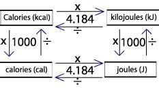 Calorie Conversion: Master the Art of Nutritional Precision