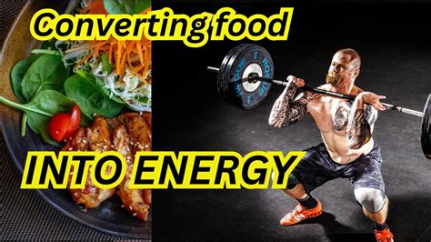 Calorie Converter: The Ultimate Guide to Converting Food into Energy