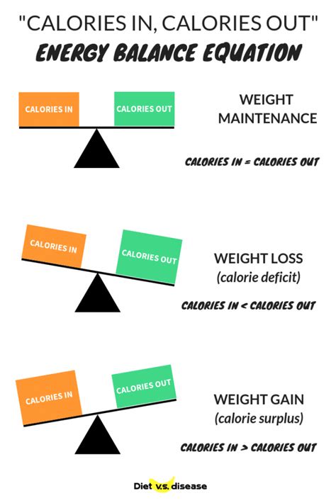 Calorie Equation for Weight Loss and Gain