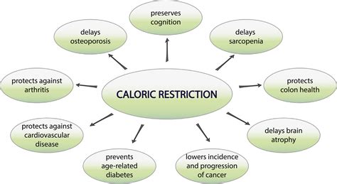 Calorie Restriction, Aging and Longevity Doc