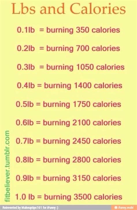 Calories to Lbs: The Essential Guide