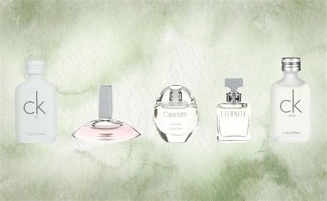 Calvin Klein Starburst: A Comprehensive Guide to the Enigmatic Fragrance