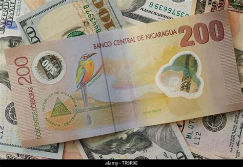 Cambio Dolar a Cordoba Nicaraguense: Everything You Need to Know