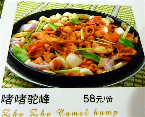 Camel's Hump Chinese Food: 99 Ways to Enjoy This Delectable Dish