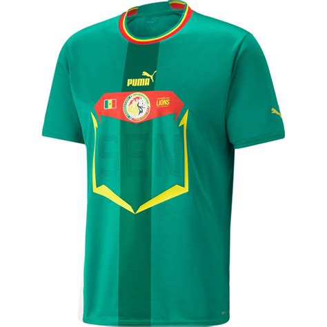 Cameroon Soccer Jersey: The History, Design, and Evolution