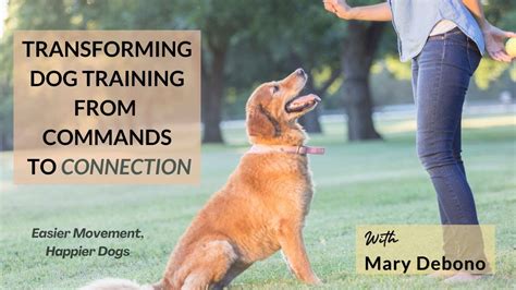 Camila Ataujo: Transforming Dog Training with Unparalleled Passion and Expertise