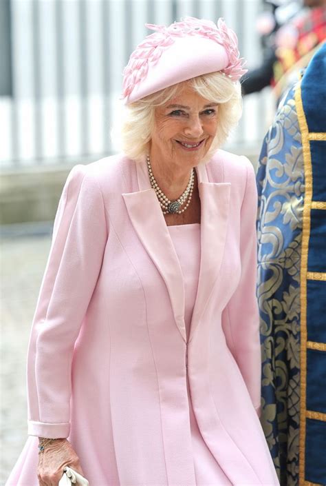 Camilla Pink Pics: A Comprehensive Guide to the Glamorous Princess of Wales