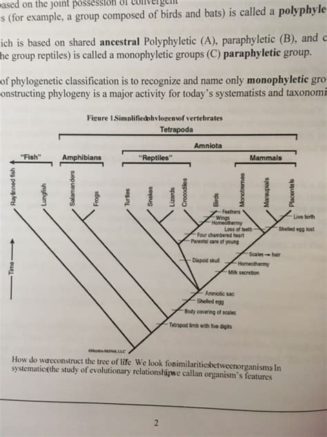 Caminalcules Phylogenetics Answers Reader