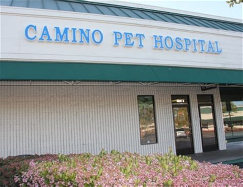 Camino Pet Hospital Irvine: Your Comprehensive Guide to Cutting-Edge Veterinary Care