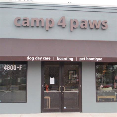 Camp 4 Paws Austin: A Comprehensive Guide to Austin's Premier Dog Park and Event Space