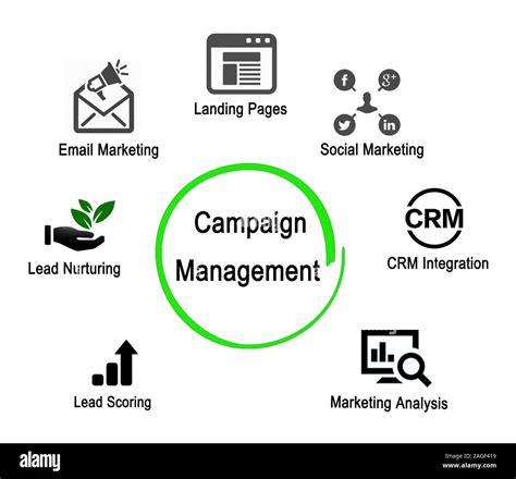 Campaign management: