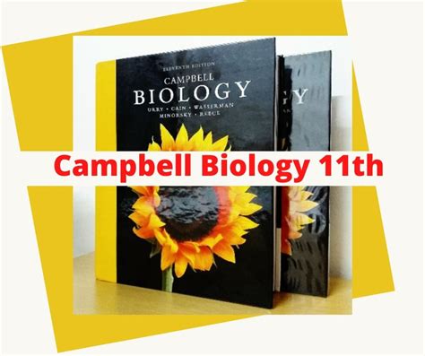 Campbell 8th Edition Teachers Edition Ebook Epub