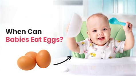 Can 1-Year-Old Babies Eat Eggs Every Day: The 2025 Guide