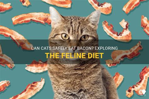 Can Cats Have Bacon? The Ultimate Guide