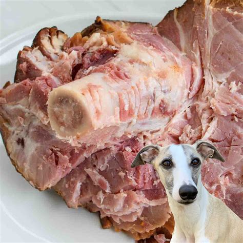 Can Dogs Eat Cooked Ham Bones? A Comprehensive Guide