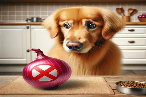 Can Dogs Eat Onions?: A Comprehensive Guide for Pet Owners