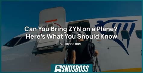 Can I Bring Zyn on a Plane? Get the Facts Straight