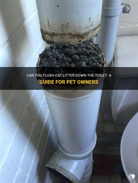 Can You Flush Cat Litter?