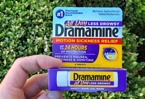 Can You Give a Dog Dramamine?