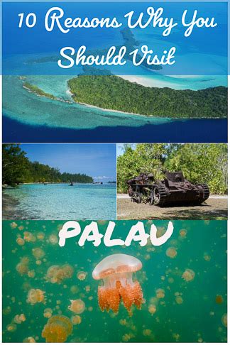 Can You Swim in Palau? Absolutely! And Here's Why You Should.