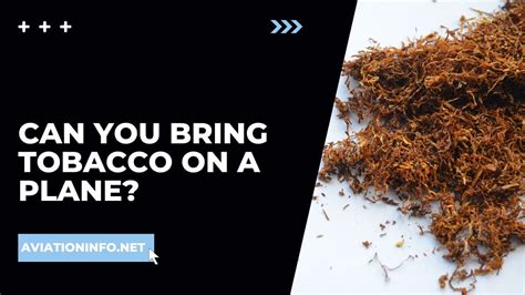 Can You Take Smokeless Tobacco on a Plane?