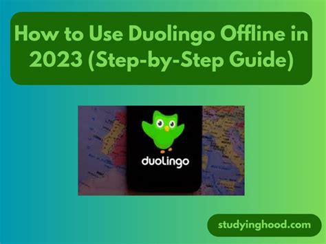 Can You Use Duolingo Offline: Supercharge Your Language Learning Anytime, Anywhere