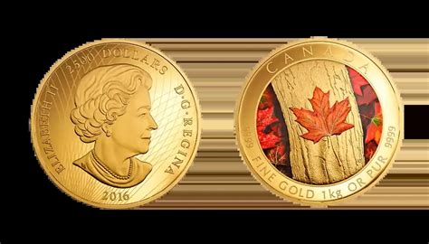 Canadian $1 Coin: A Comprehensive Guide to its Features, Uses, and Quirks