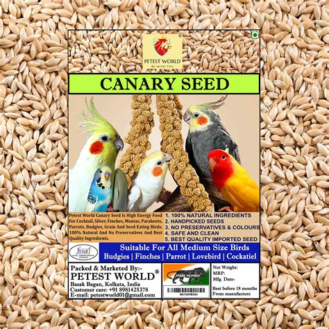 Canary Bird Food Seed: The Essential Guide to Nutrition and Variety