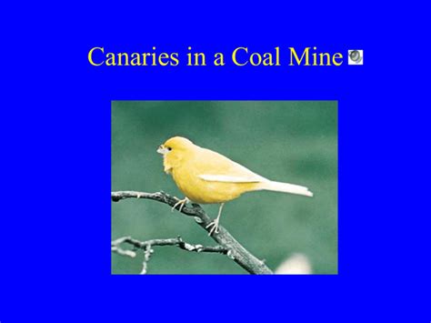 Canary Capital: The Canary in the Coal Mine for Global Economic Activity