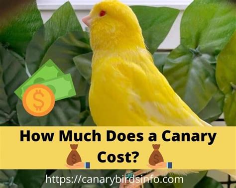 Canary Cost: Harnessing the Power of Small, Early Failures