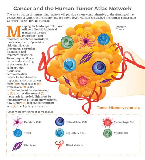 Cancer Biology Research: