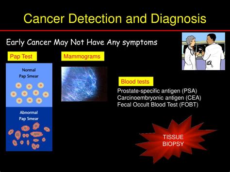 Cancer Detection and Diagnosis: