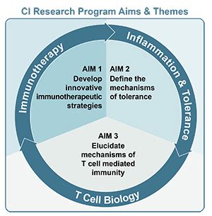 Cancer Immunology Program: