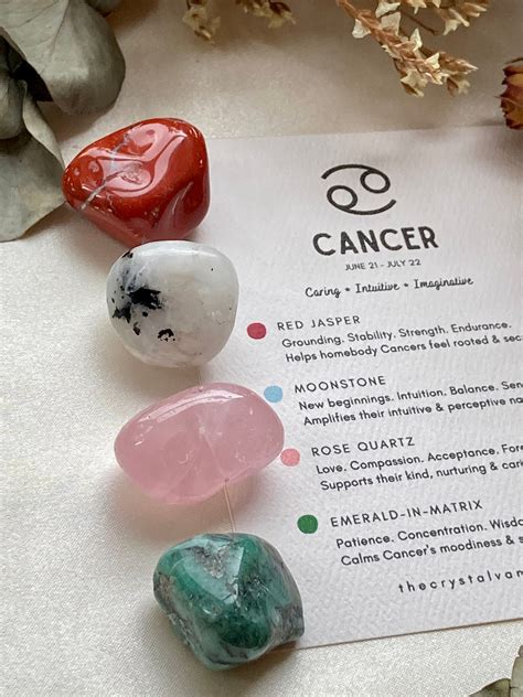 Cancer Stone: The Miracle Cure That's Been Hiding in Plain Sight